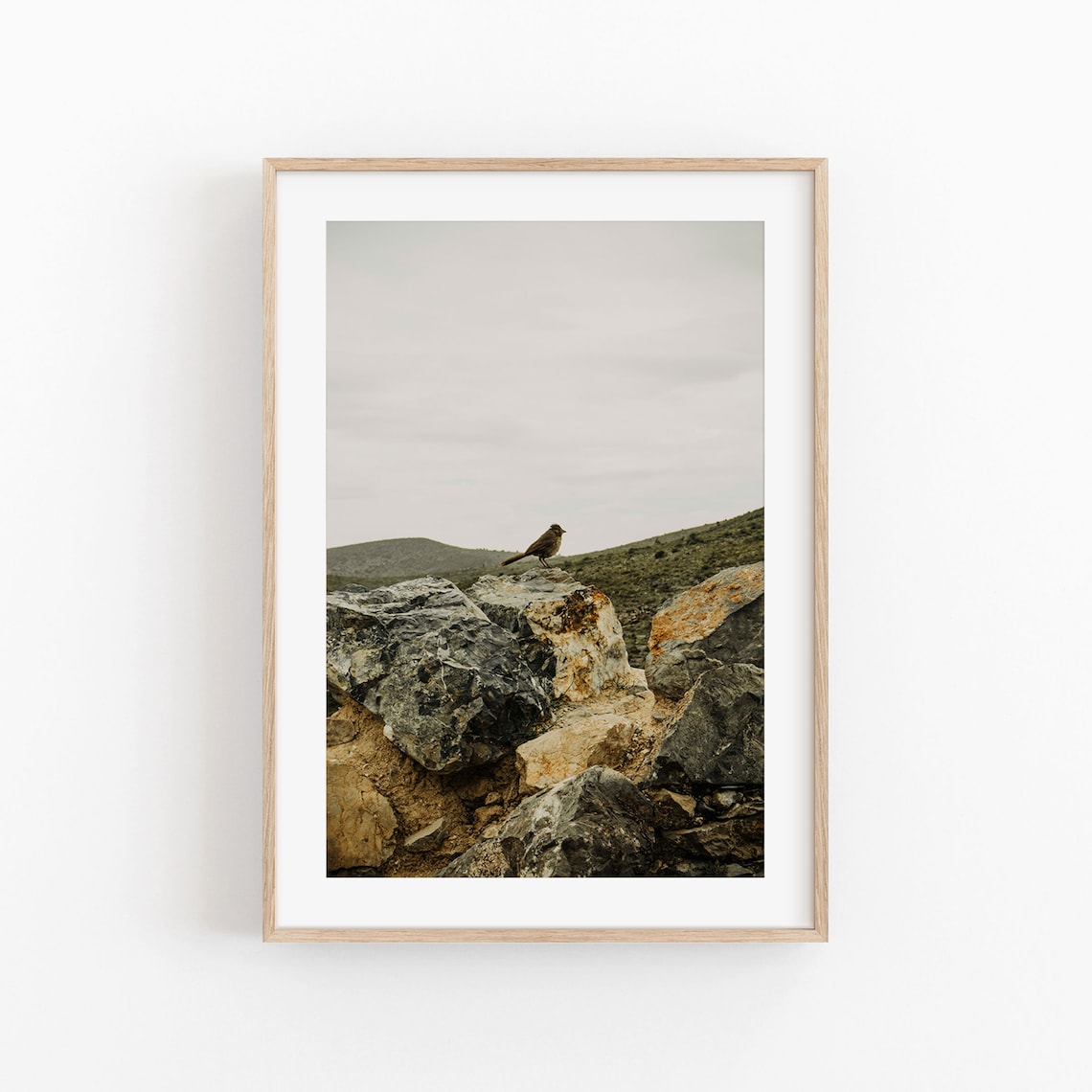 Bird Art Print, Mountain Nature Wall Art