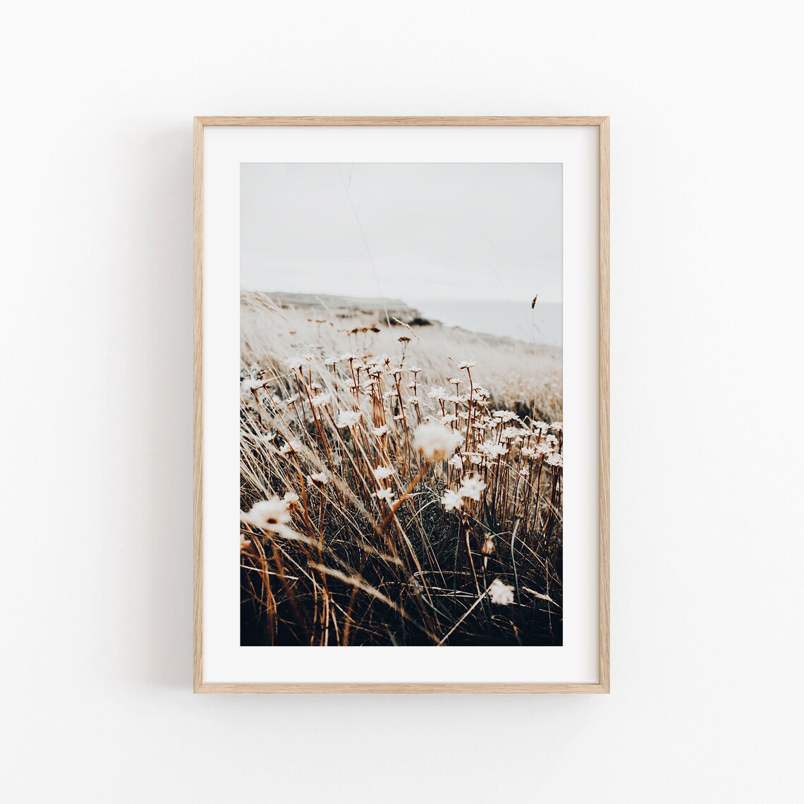 Flowers Botanical Art Print, Living Room Decor