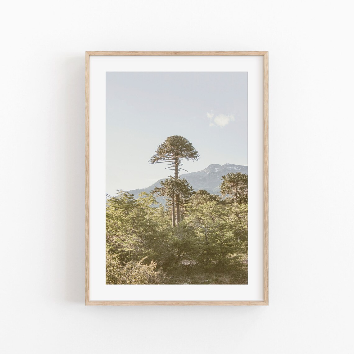 Patagonia Modern Minimalist Poster, Argentina Travel