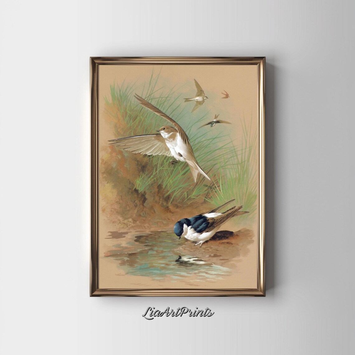 Swallows in Flight Over Water Vintage Chromolithograph Bird Art Poster - Image 2
