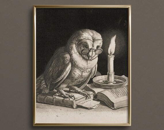 He That Is Born a Fool, Cornelis Bloemaer Print