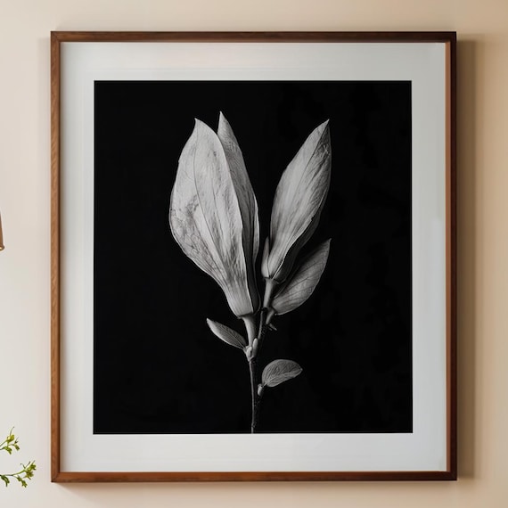Monochrome Magnolia Bud Black And White Botanical Photo Poster