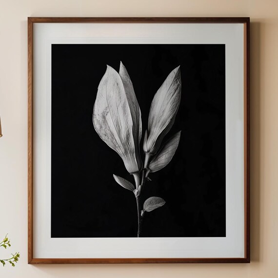 Neutral Wall Decor Black And White Botanical Photography