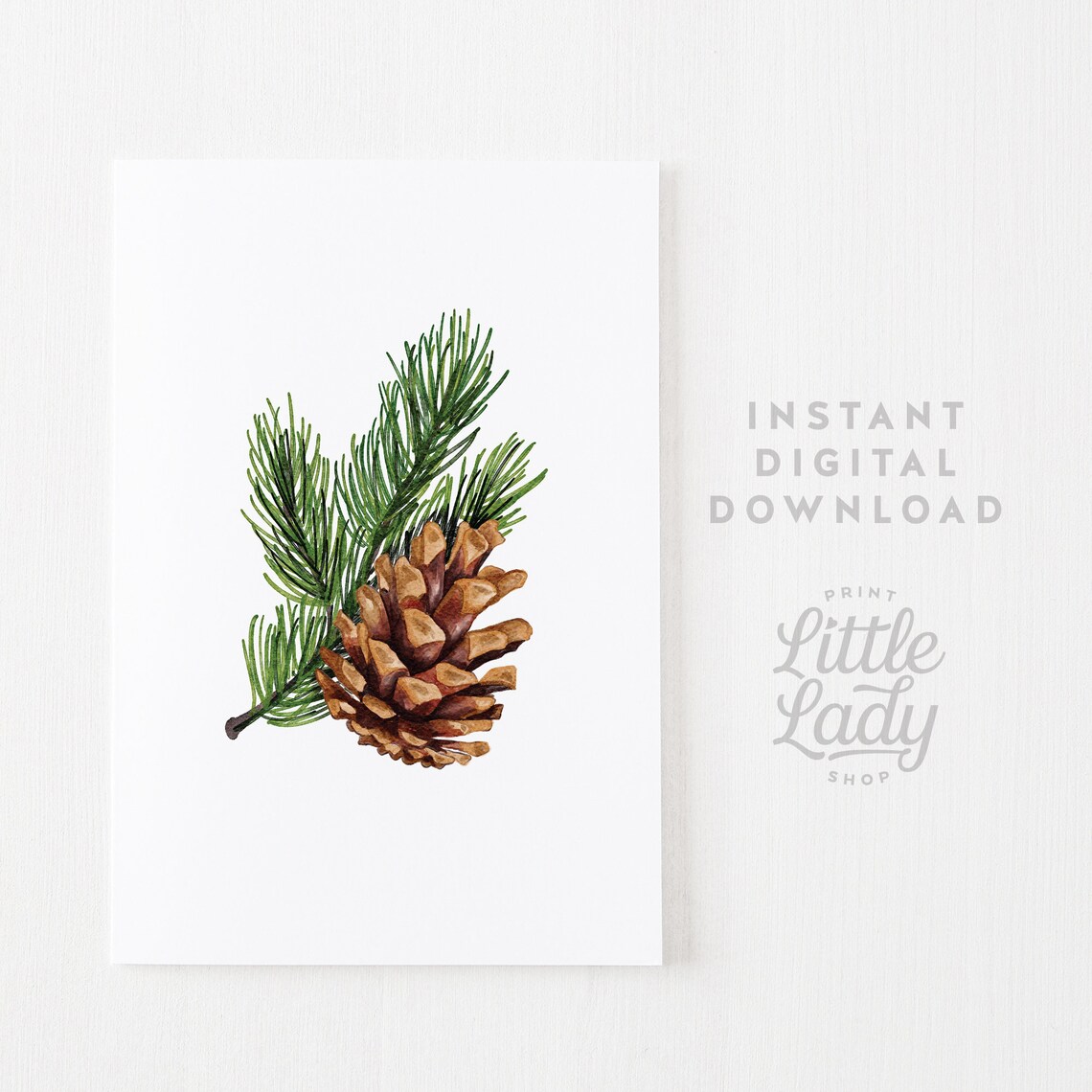 Botanical Winter Pinecone and Pine Tree Art Print - Image 4