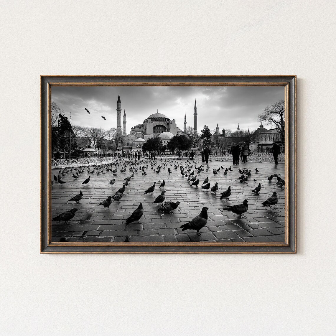 Hagia Sophia Pigeons Square Istanbul Black and White Photo Poster
