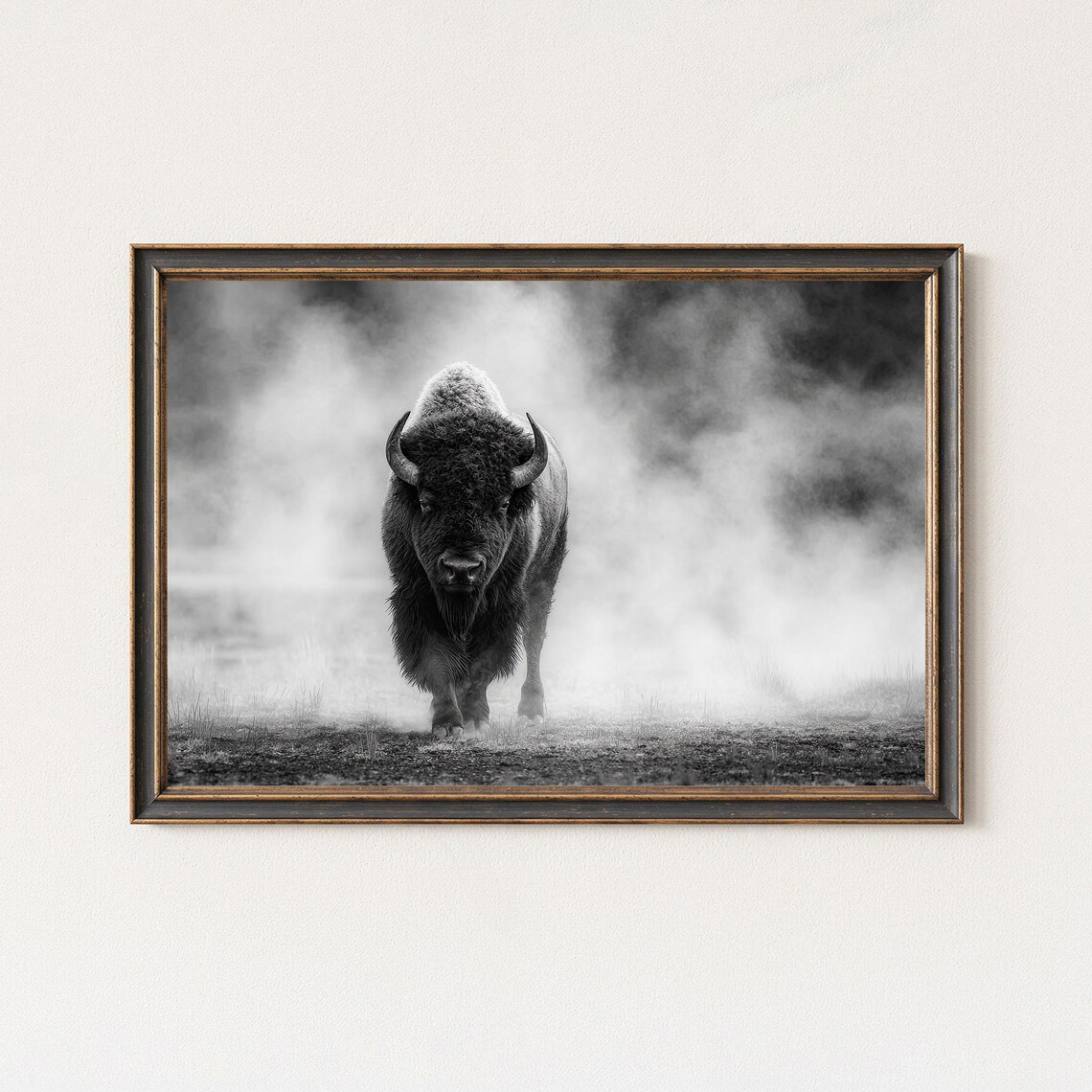 Black And White Bison Photography Print Wildlife Wall Art