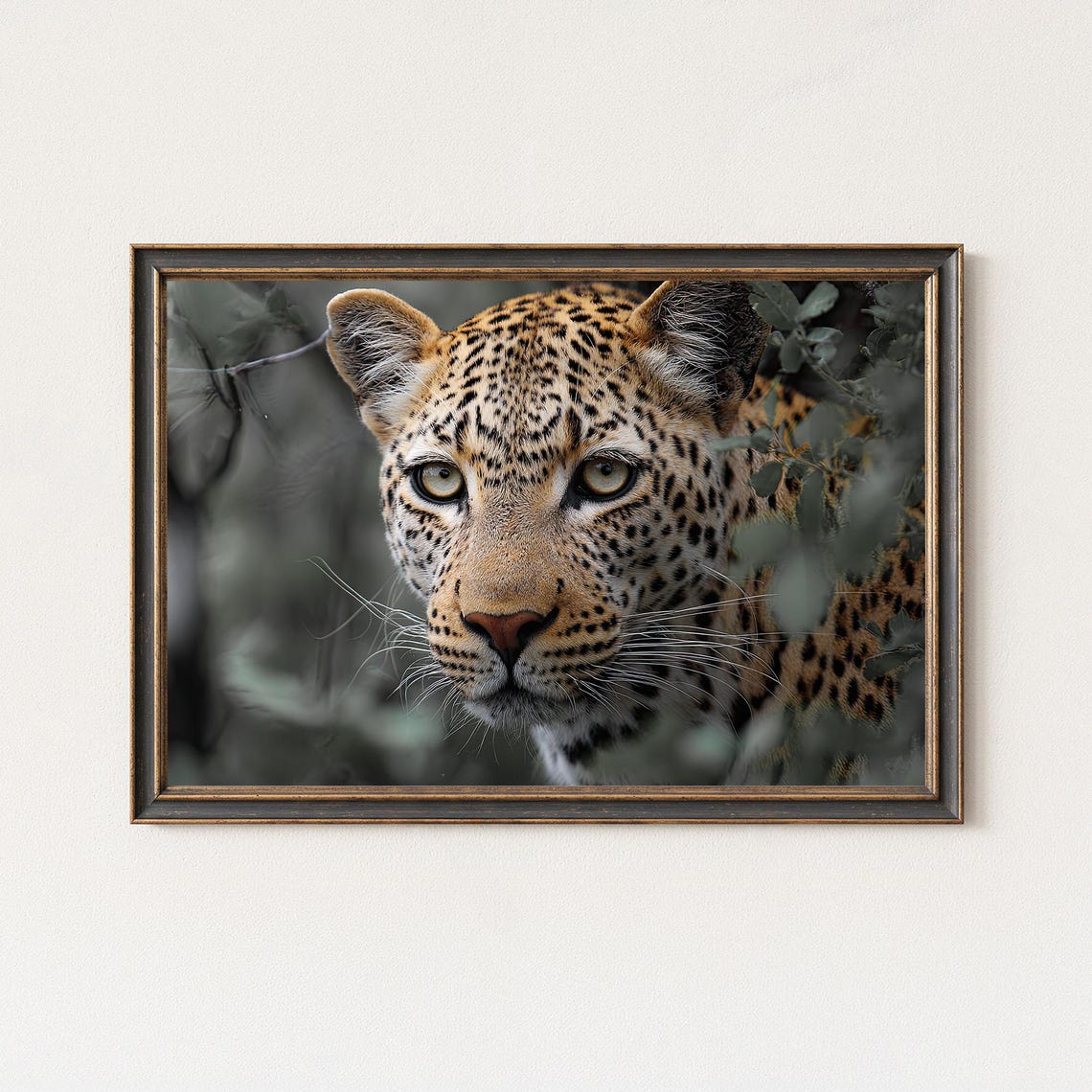 Intense Leopard Close Up Portrait Peering Through Green Foliage Poster