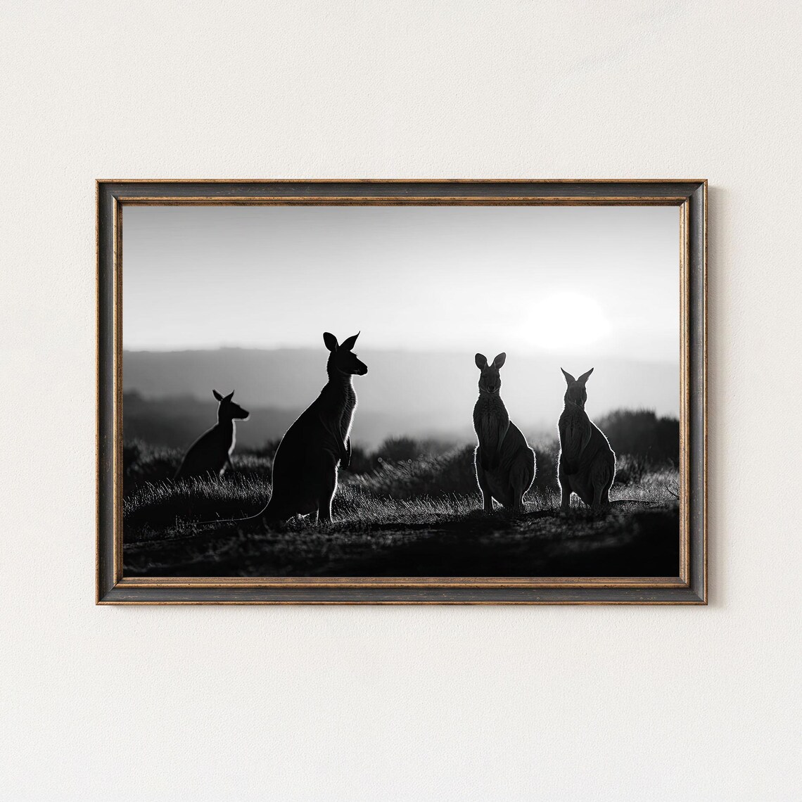 Black And White Kangaroo Sunrise Wildlife Photography Print