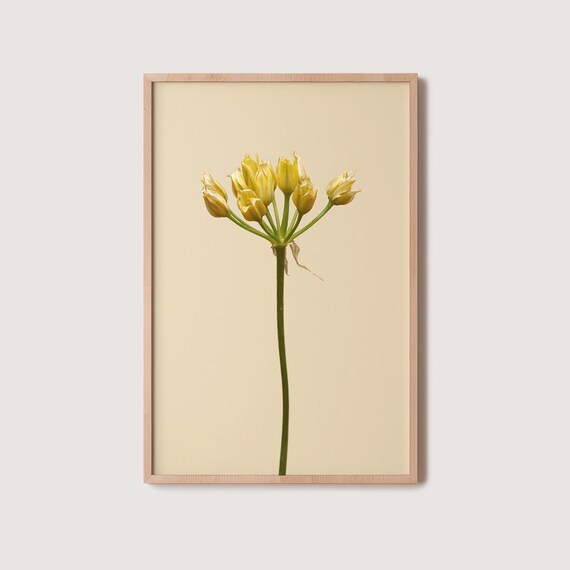 Floral Illustration Art Print Modern Botanical Home Decor