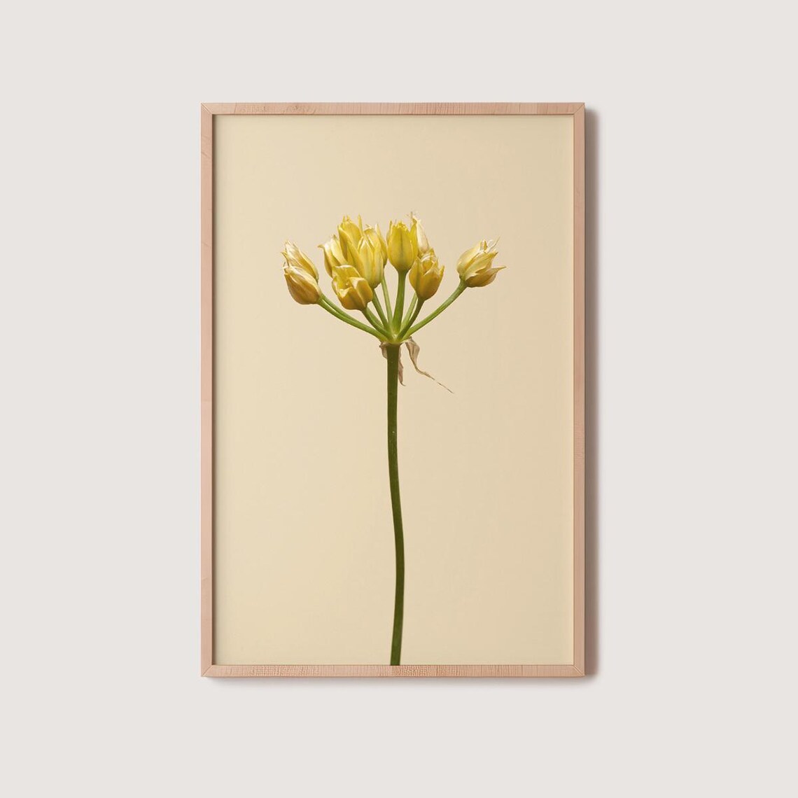 Floral Illustration Art Print Modern Botanical Home Decor