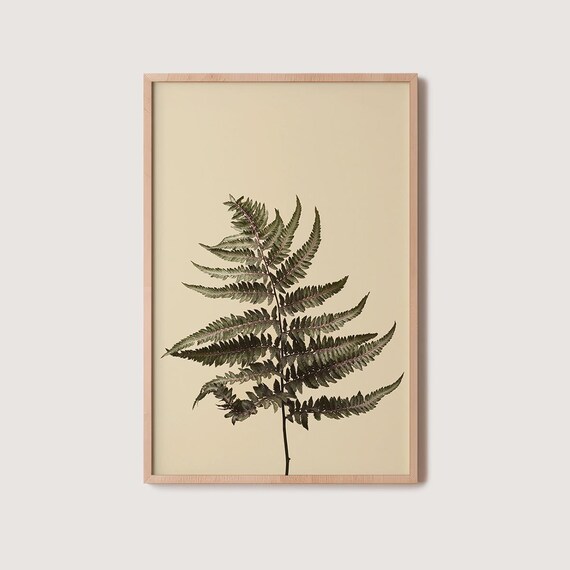 Delicate Pressed Fern Frond In Herbarium Style On Warm Beige Poster