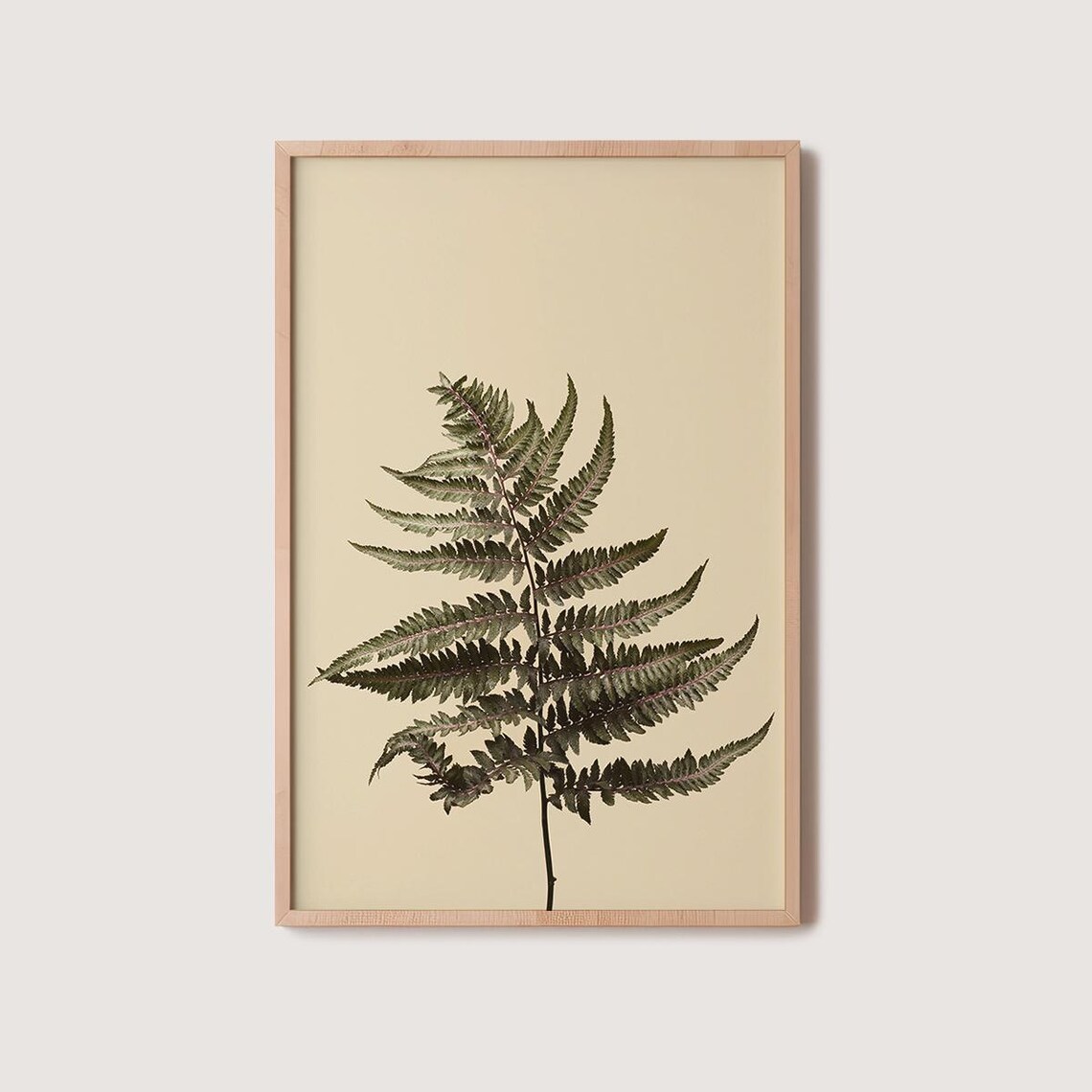 Delicate Pressed Fern Frond In Herbarium Style On Warm Beige Poster