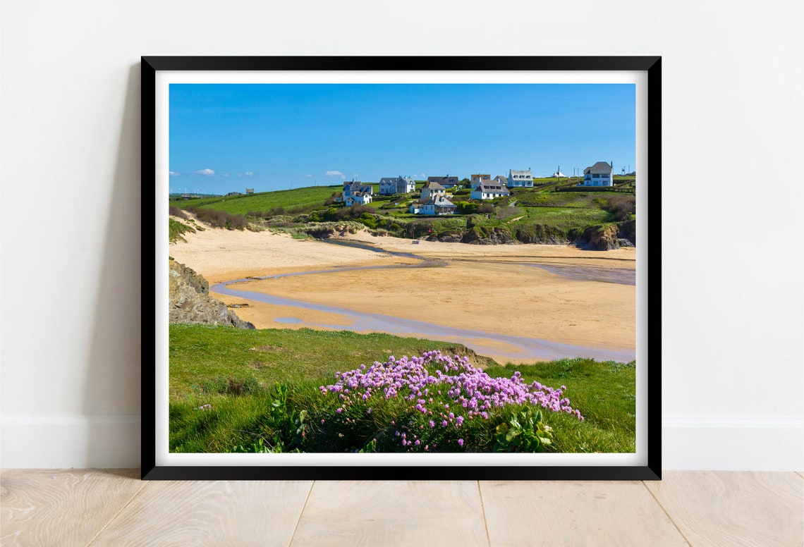 Treyarnon Bay Beach Cornwall Sandy Cove Summer Wildflowers Poster