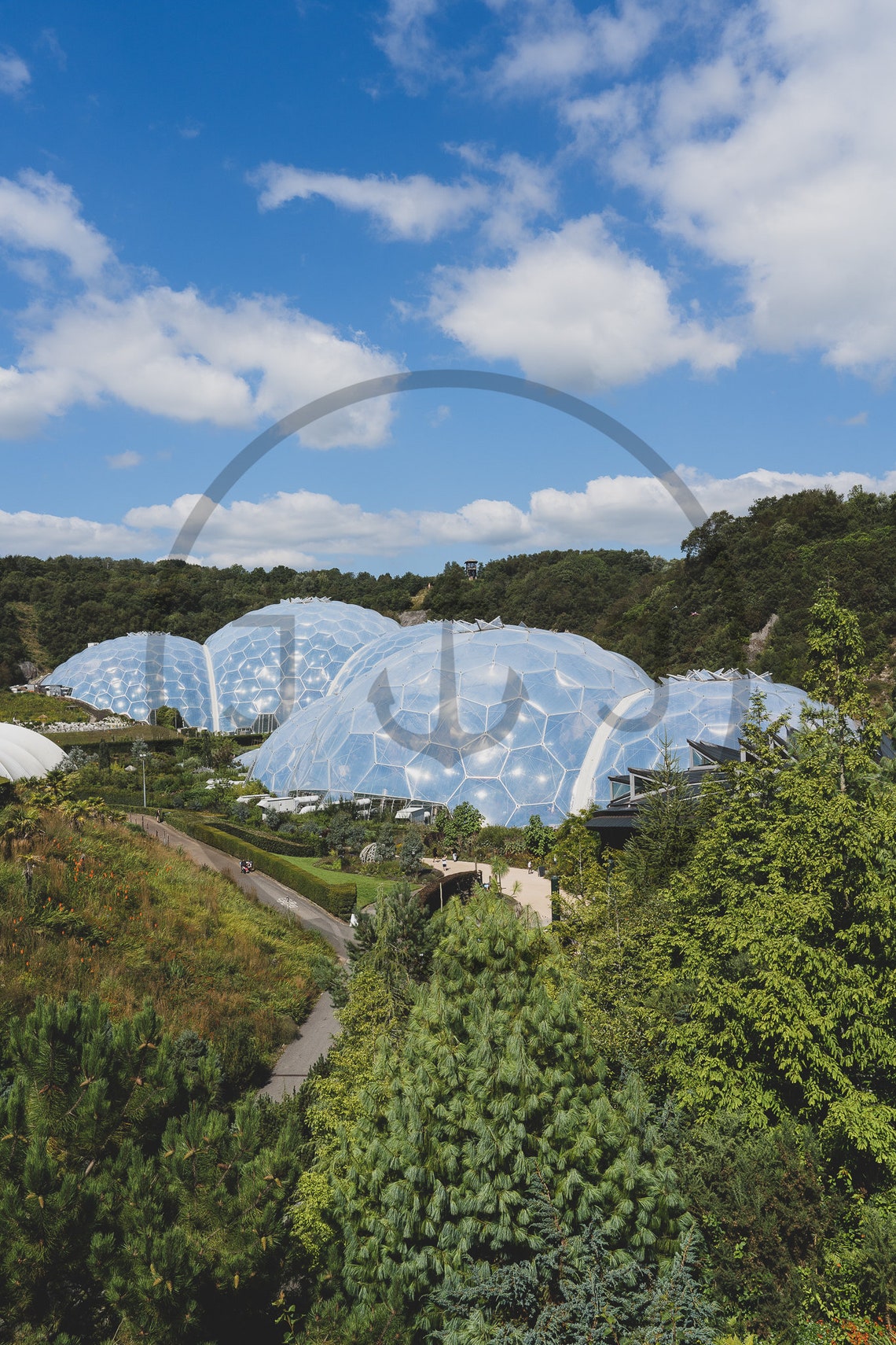 Eden Project Cornwall Biomes Domes Under Blue Sky Garden Poster - Image 3