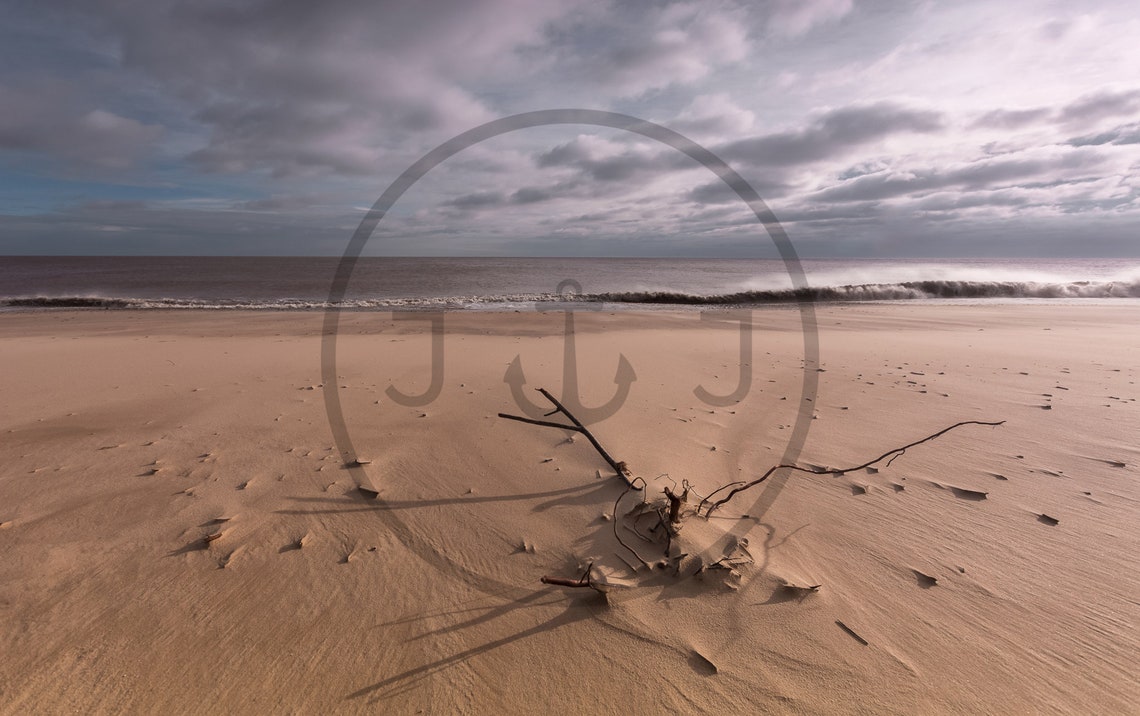 Minimalist Driftwood on an Empty Beach Under a Vast Cloudy Sky Poster - Image 3