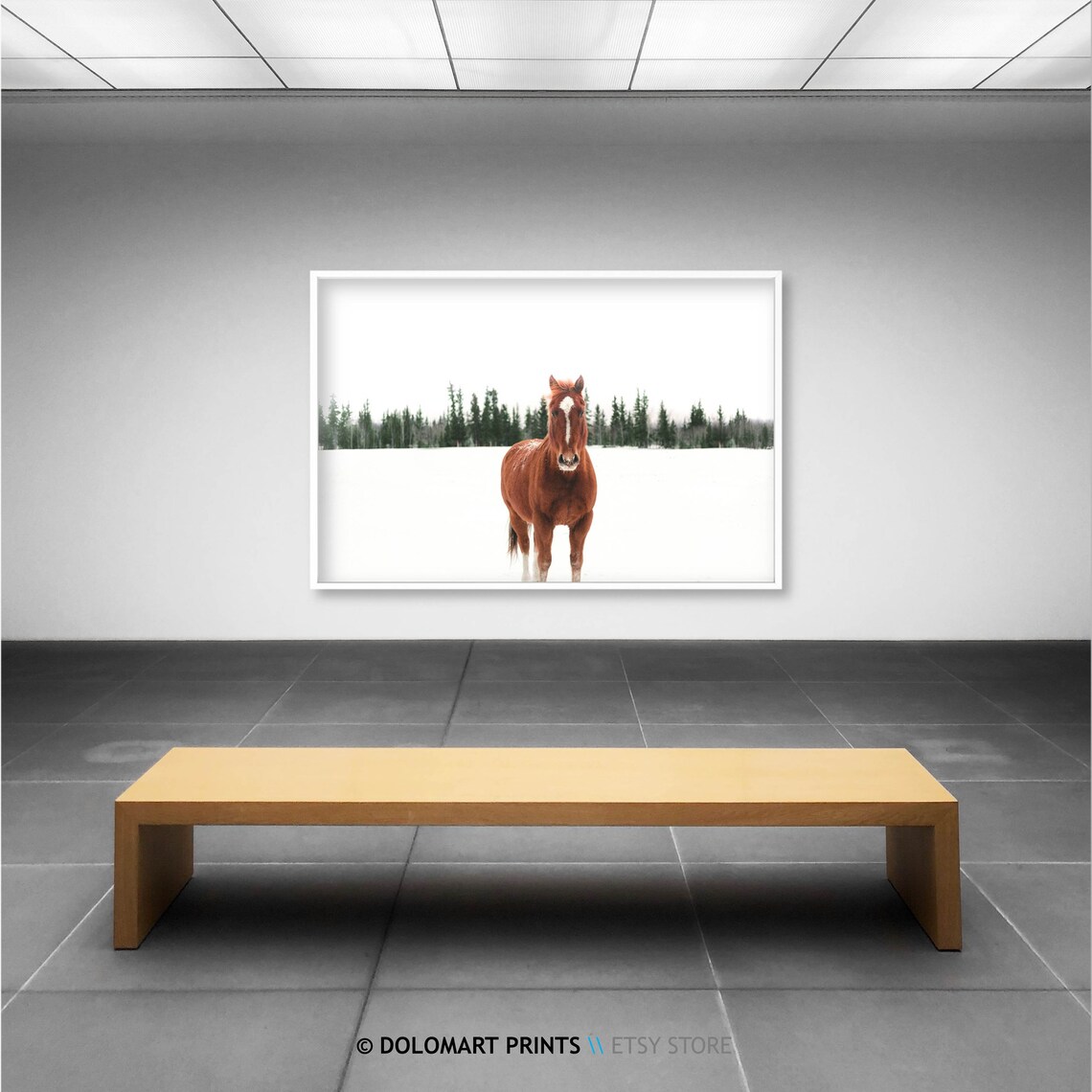 Horse Print, Scandinavian Equine Photography Art - Image 2
