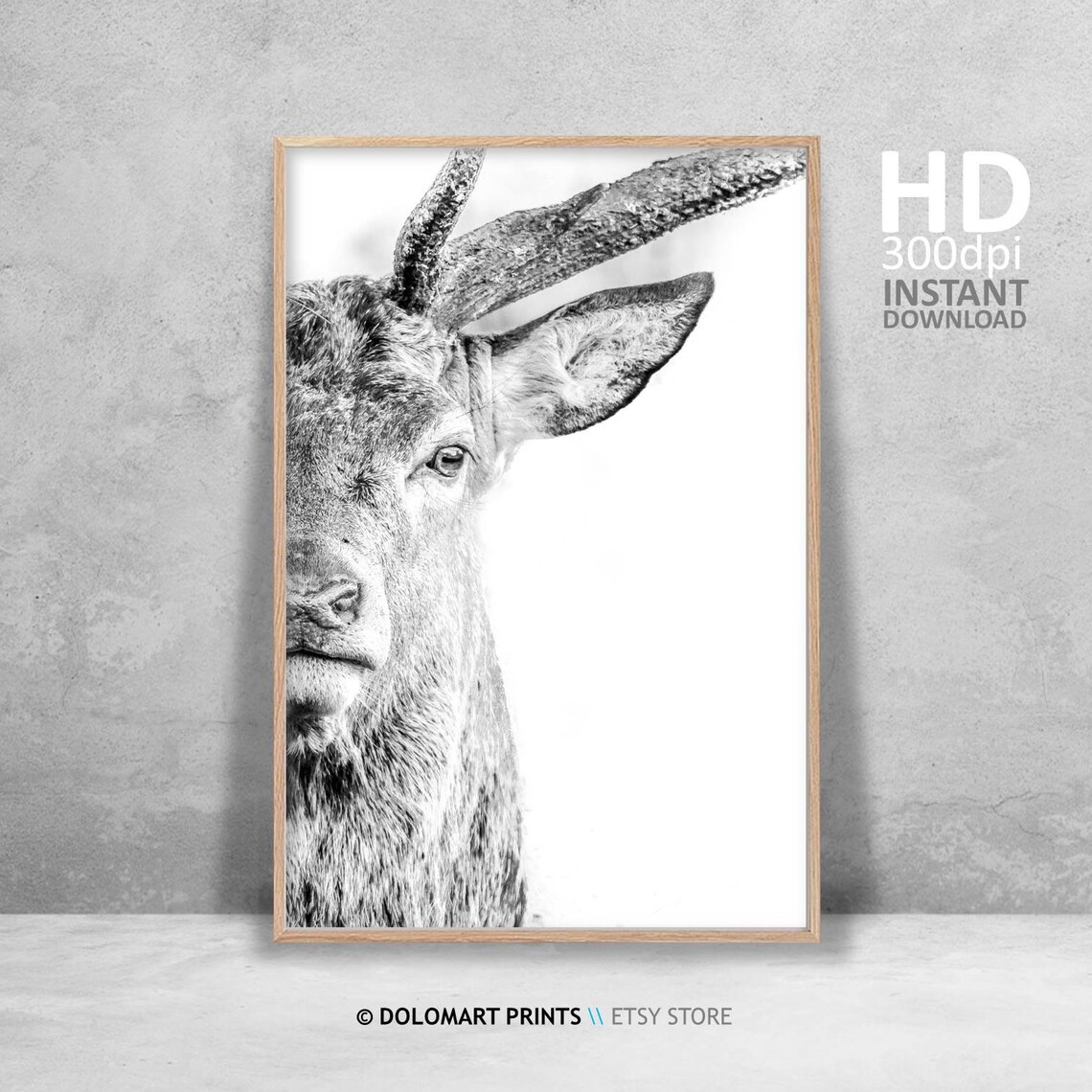 Deer Wilderness Photography Animal Poster Print - Image 4