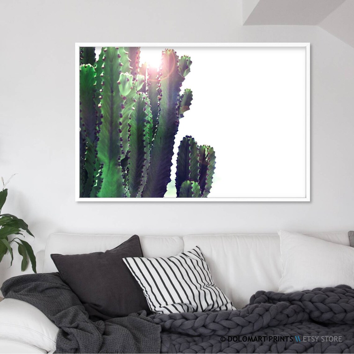 Green Cactus in Sunlight Minimalist Desert Photography Poster - Image 2