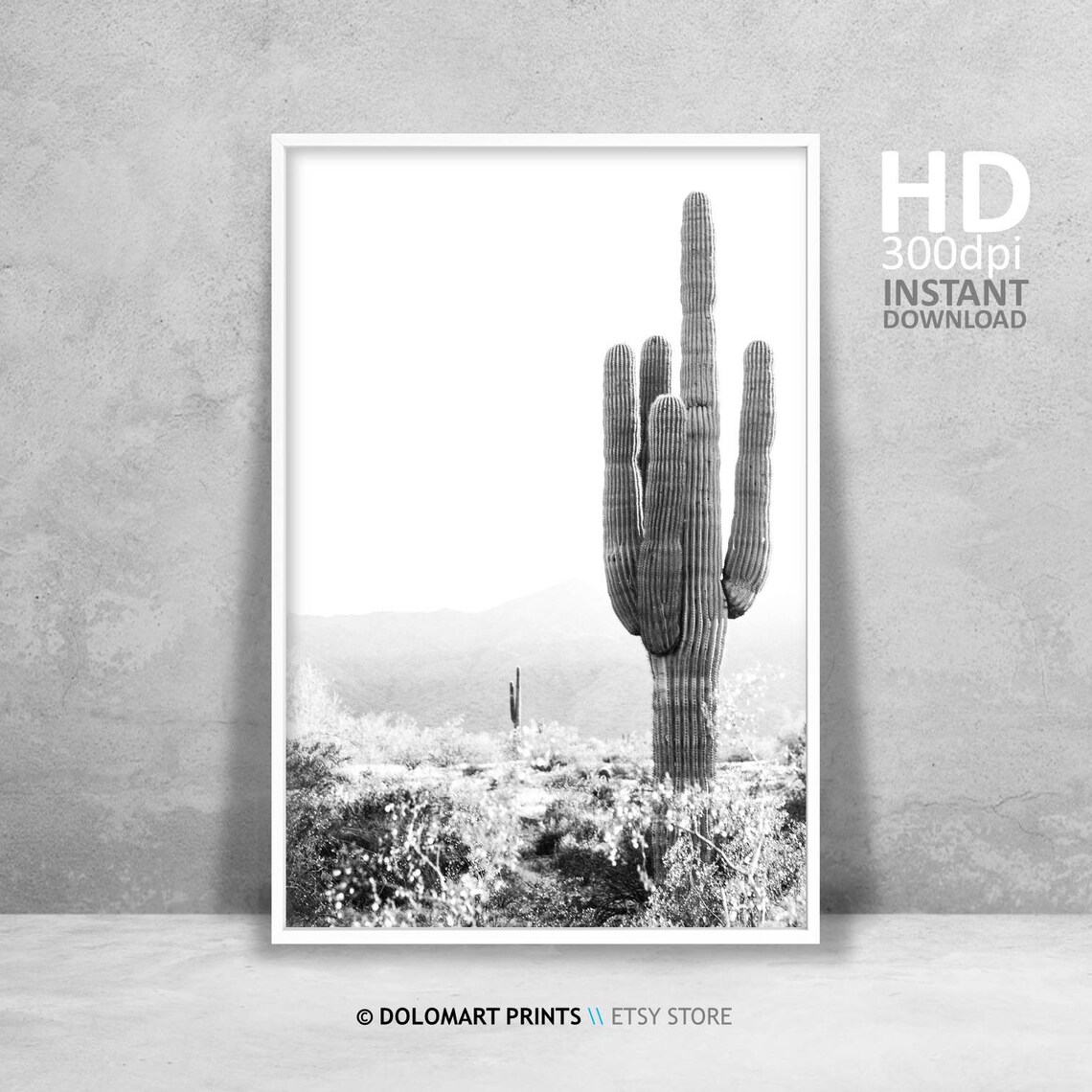 Cactus Print, Southwestern Black and White Art Print