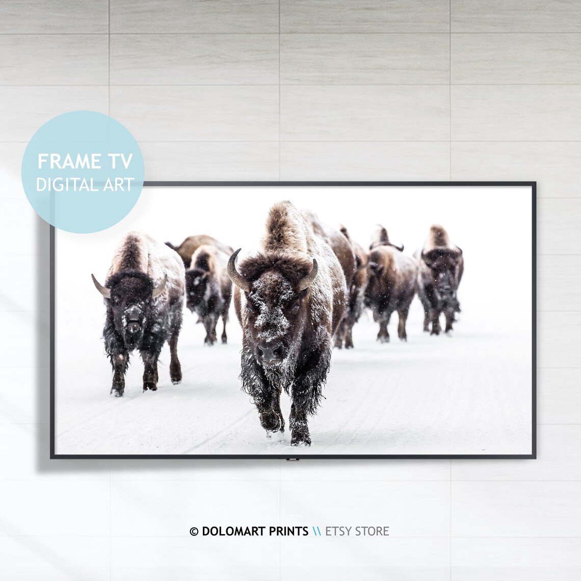 Wild Bisons and Buffalo Winter Snow Art Print