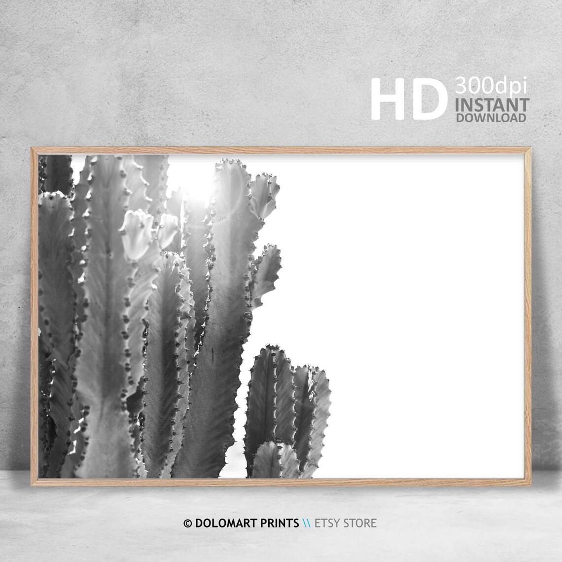 Black and White Cactus in Sunlight Desert Botanical Photography Poster - Image 3