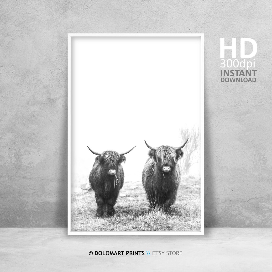 Highland Cow Rustic Farm Animal Art Print