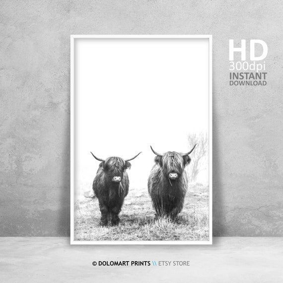 Highland Cow Rustic Farm Animal Art Print