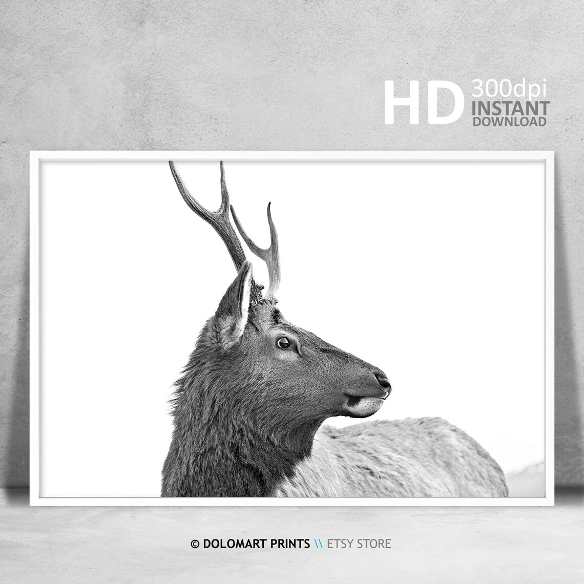 Elk Stag Profile Black and White Wildlife Photography Poster