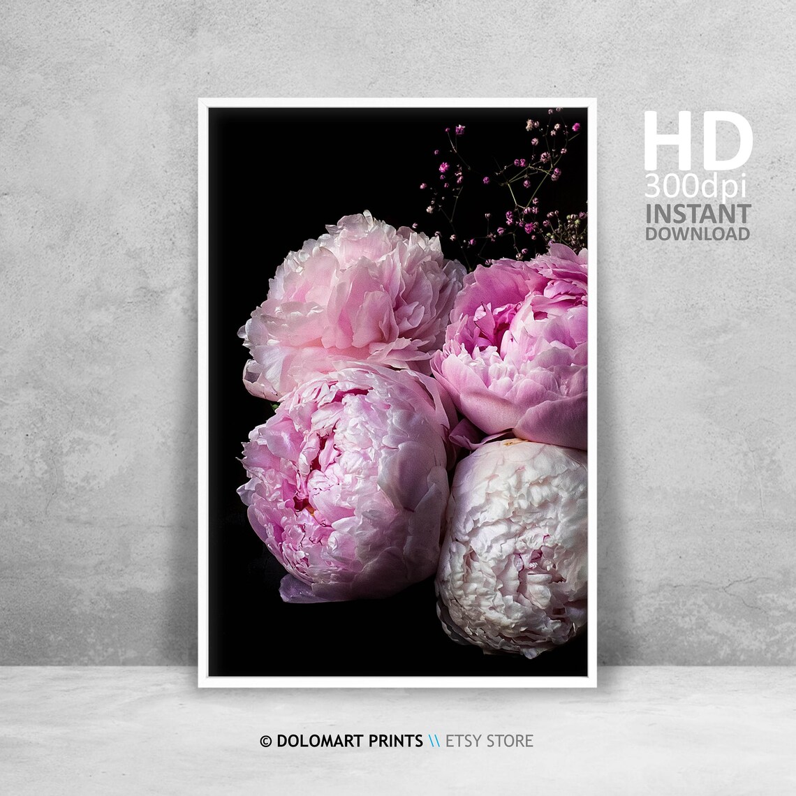 Blush Pink Peonies Dramatic Black Background Floral Photo Poster