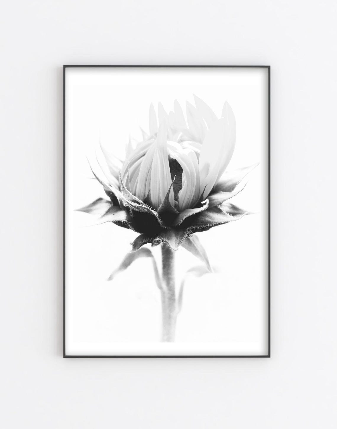 Black And White Flower Bud Close Up Minimalist Botanical Wall Art - Image 5