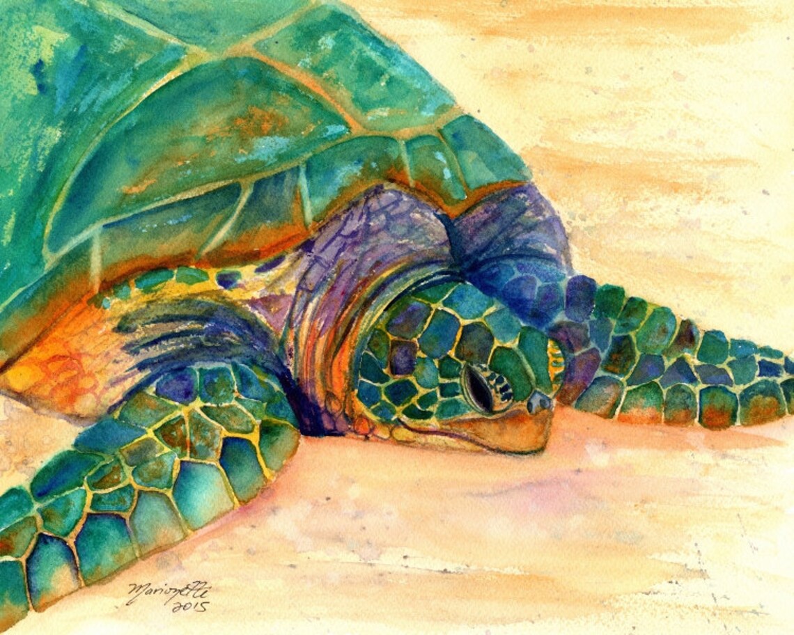 Hawaiian Sea Turtle Kauai Ocean Decor Art Print