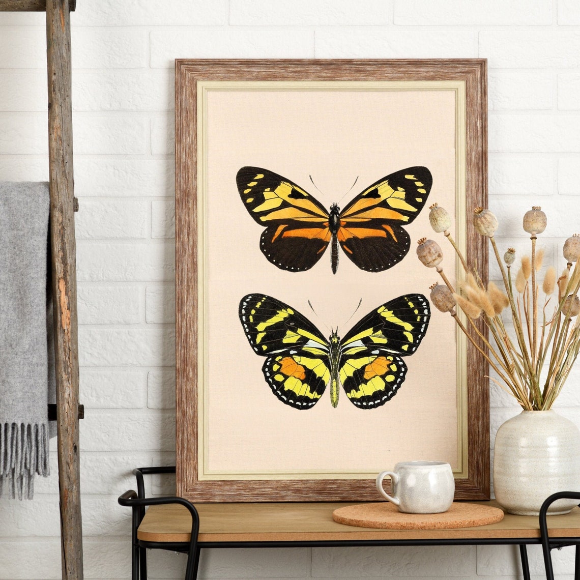 Vintage Butterfly Print Insect Art Drawing Monarch Butterfly Poster Vintage Wall Art Butterfly Wall Decor Art - Image 2
