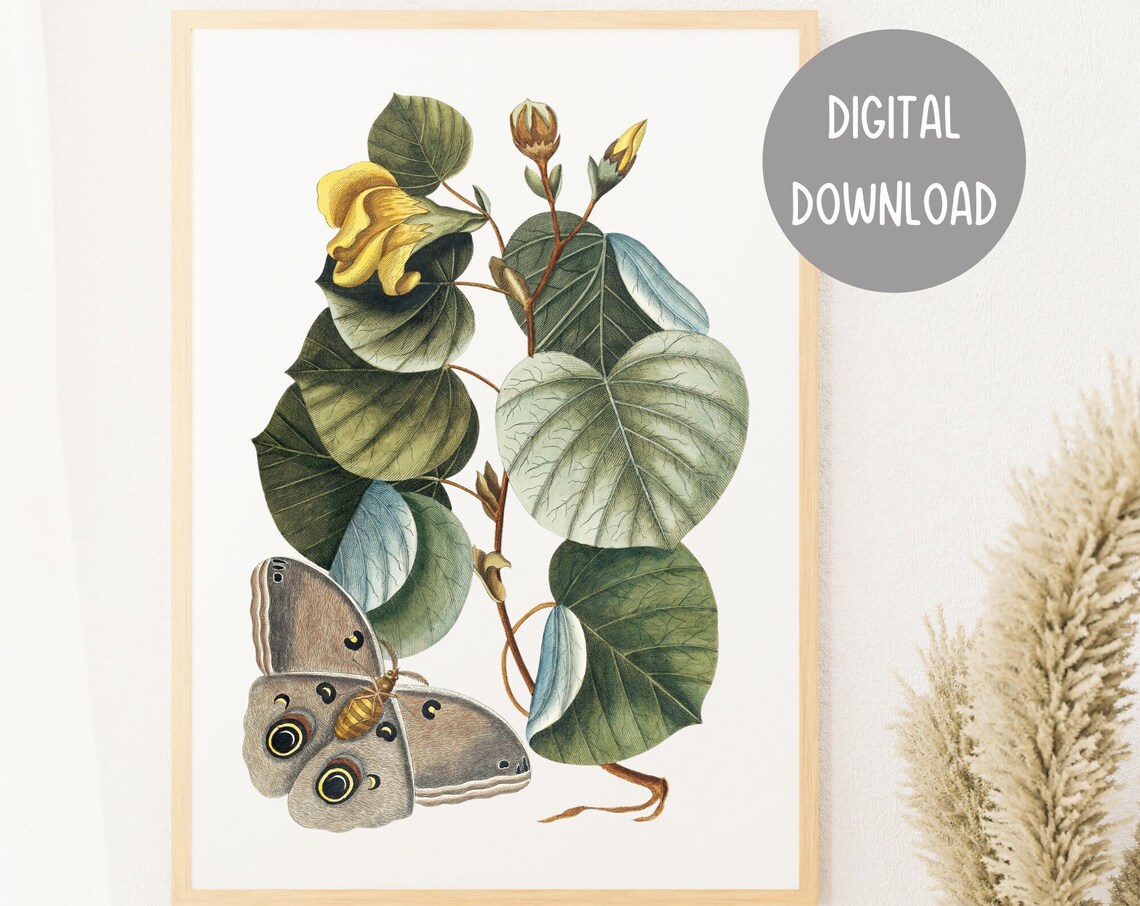Vintage Butterfly Botanical Flower Illustration, Art Print - Image 2