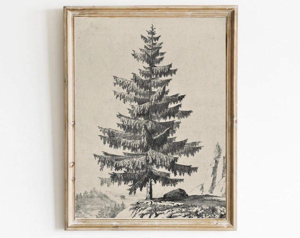 Neutral Tree Sketch, Vintage Pine Drawing Art Print
