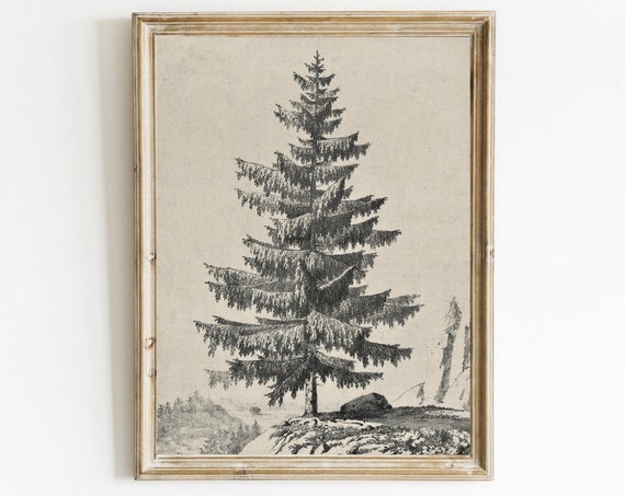 Neutral Tree Sketch, Vintage Pine Drawing Art Print
