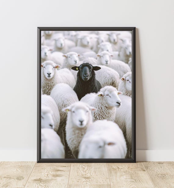 Black Sheep Minimalist Animal Art Print