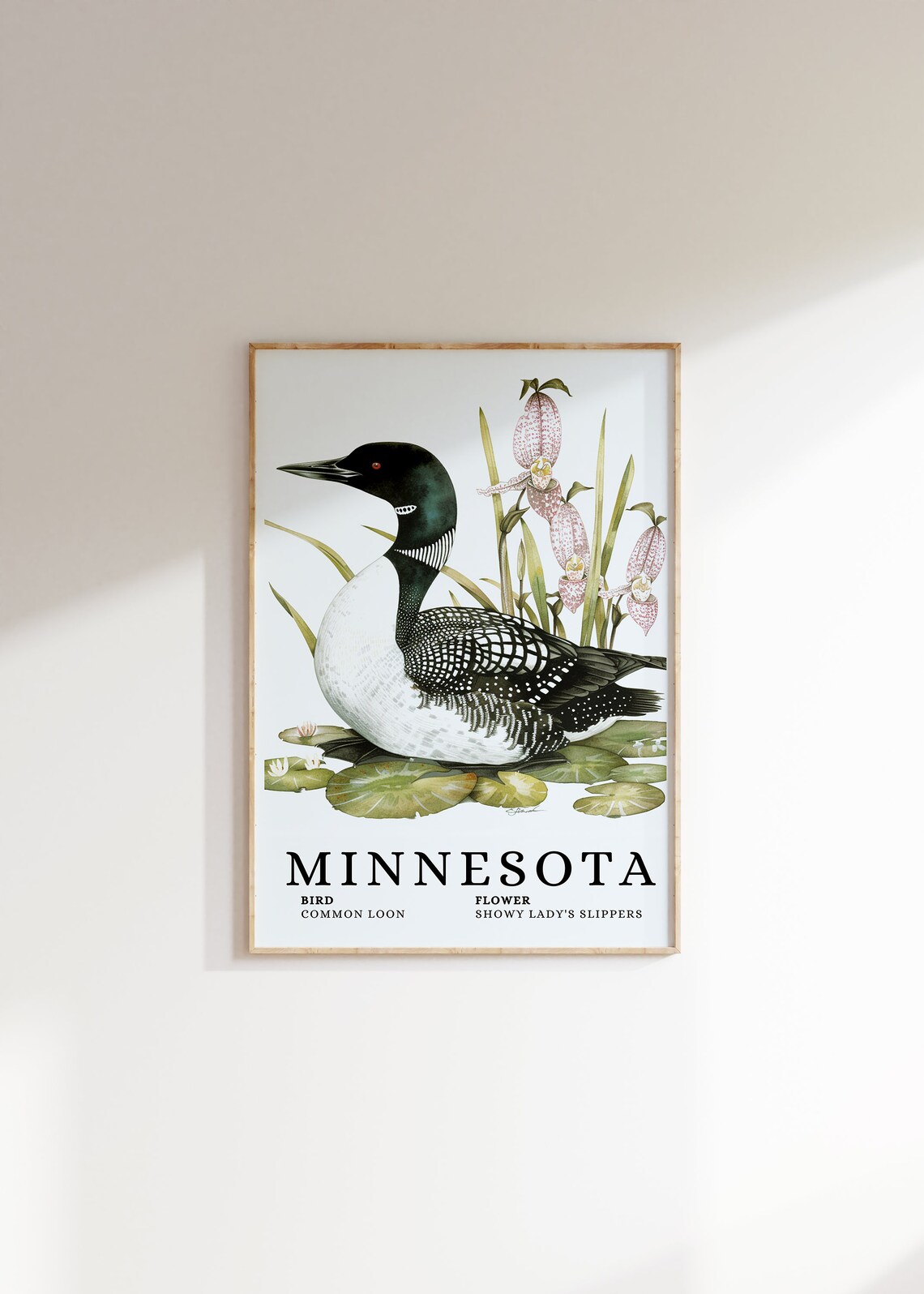 Minnesota Common Loon Showy Ladys Slippers Bird Flower Art Print