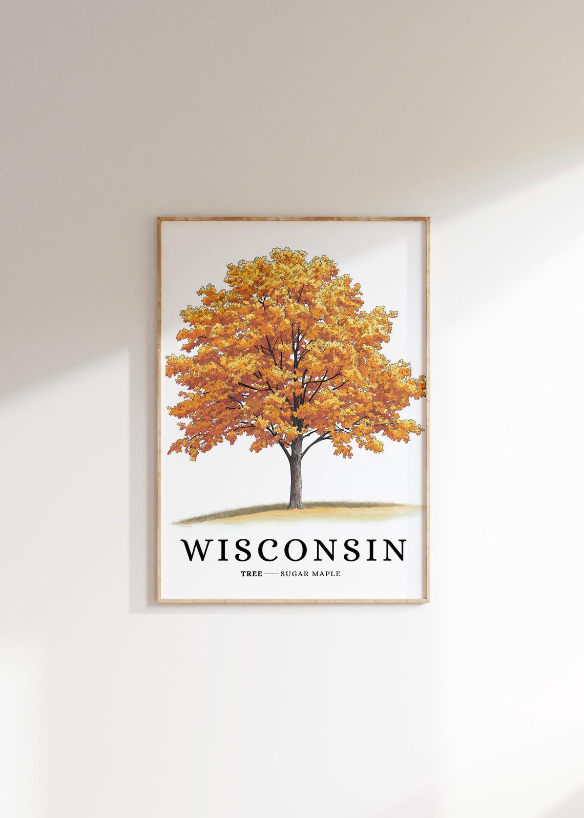 Wisconsin Sugar Maple Fall Foliage Botanical State Tree Poster