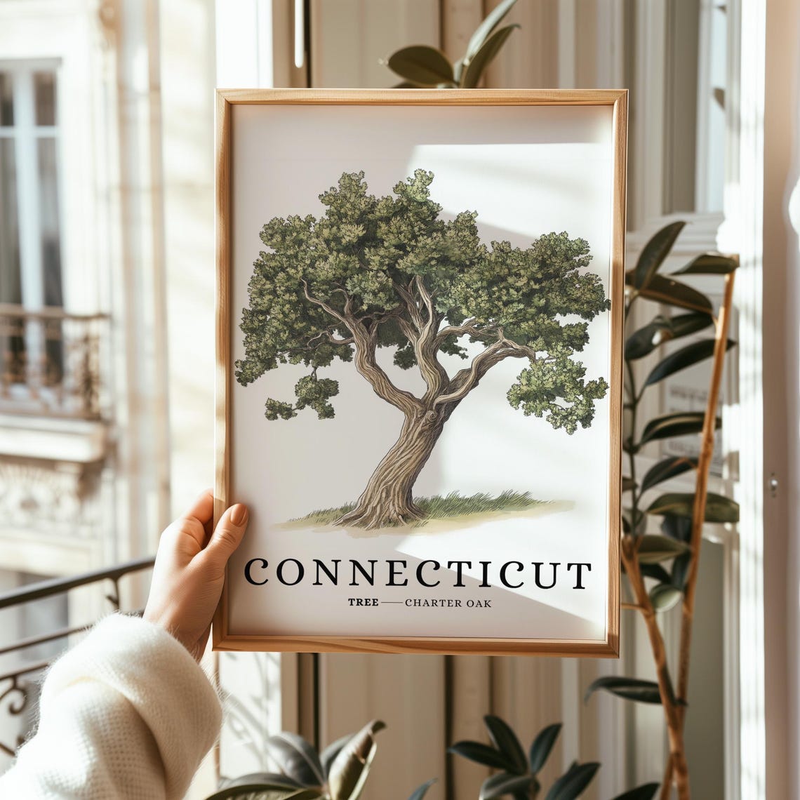 Connecticut Charter Oak Tree Botanical Minimalist State Symbol Poster - Image 2