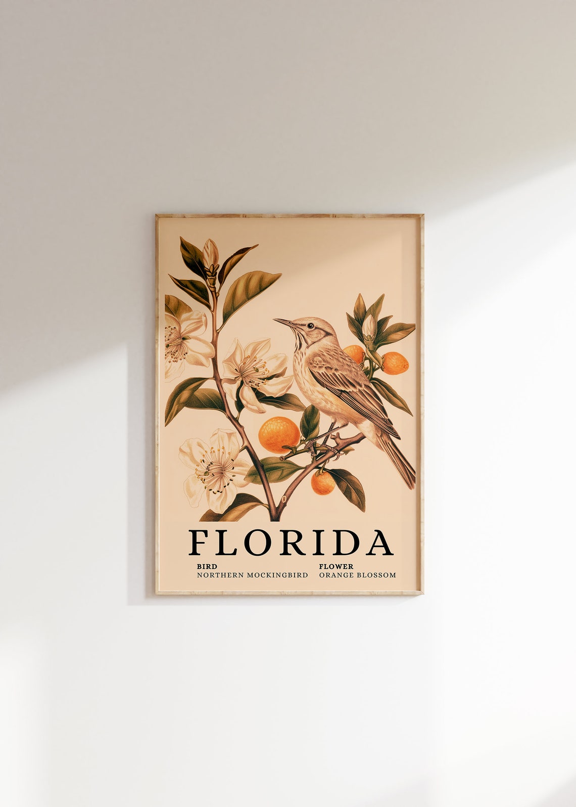 Florida Northern Mockingbird Orange Blossom Bird Flower Art Print