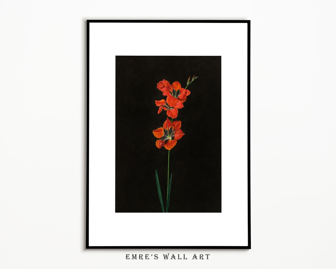 Vintage Lily Still Life Art Print, Dark Moody Floral - Image 2