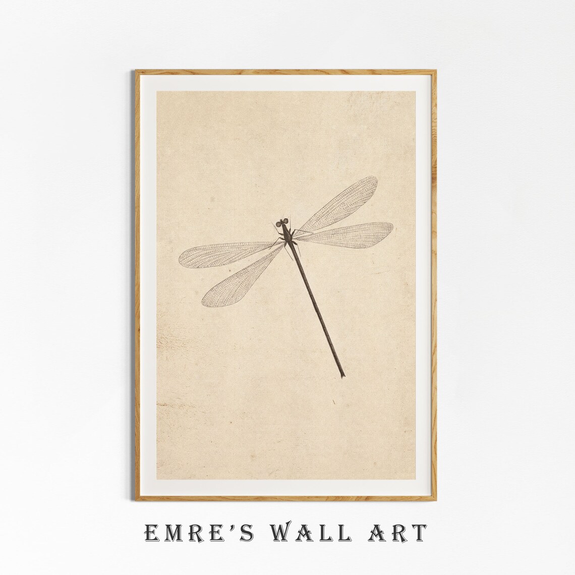 Dragonfly Vintage Sketch Art Print, Antique Sketch - Image 4