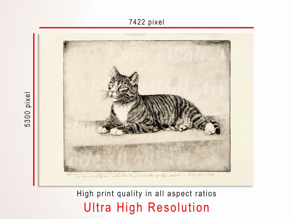 Vintage Cat Sketch Animal Wall Decor, Neutral Farmhouse - Image 3