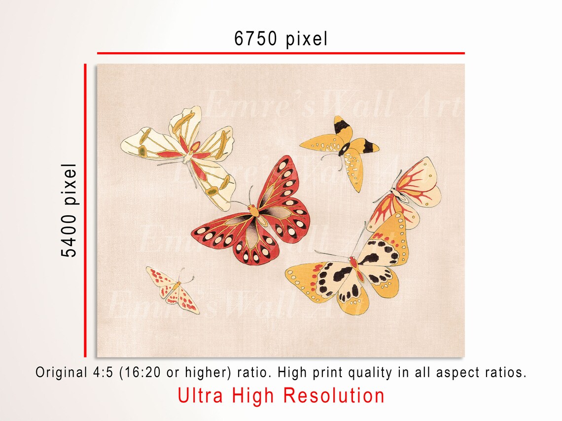 Vintage Butterfly Print, Boho Rustic Country Art - Image 3