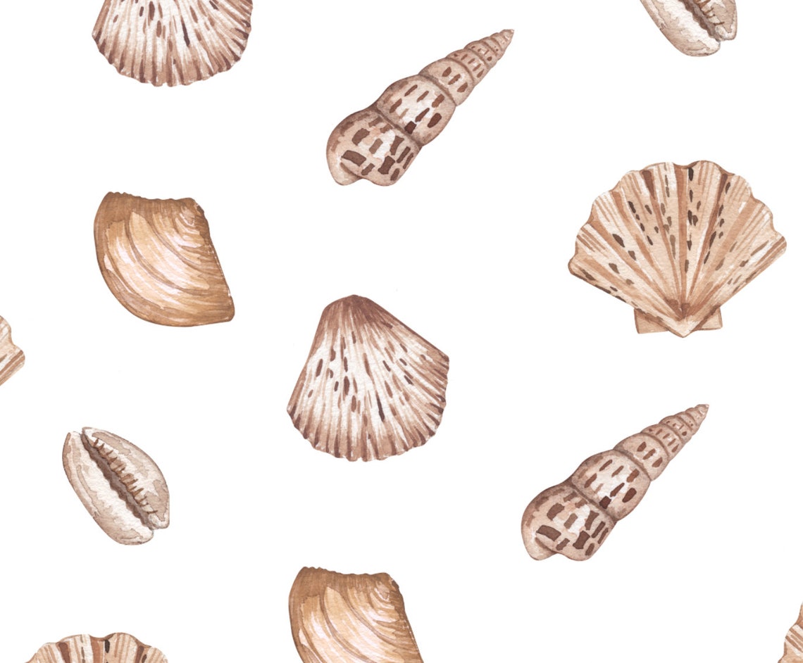 Watercolor Seashell Pattern Coastal Shells Minimalist Art Poster - Image 4