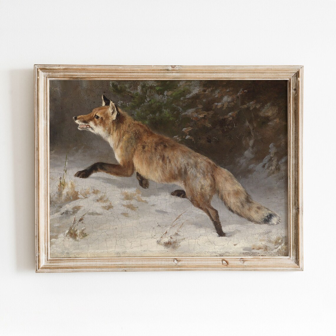 Fox In Winter Vintage Animal Nature Art Print