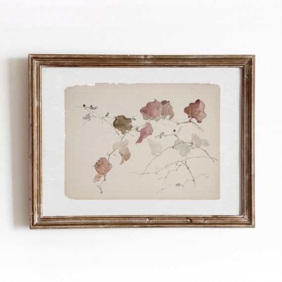 Clematis Vine Vintage Botanical Watercolor Art Print