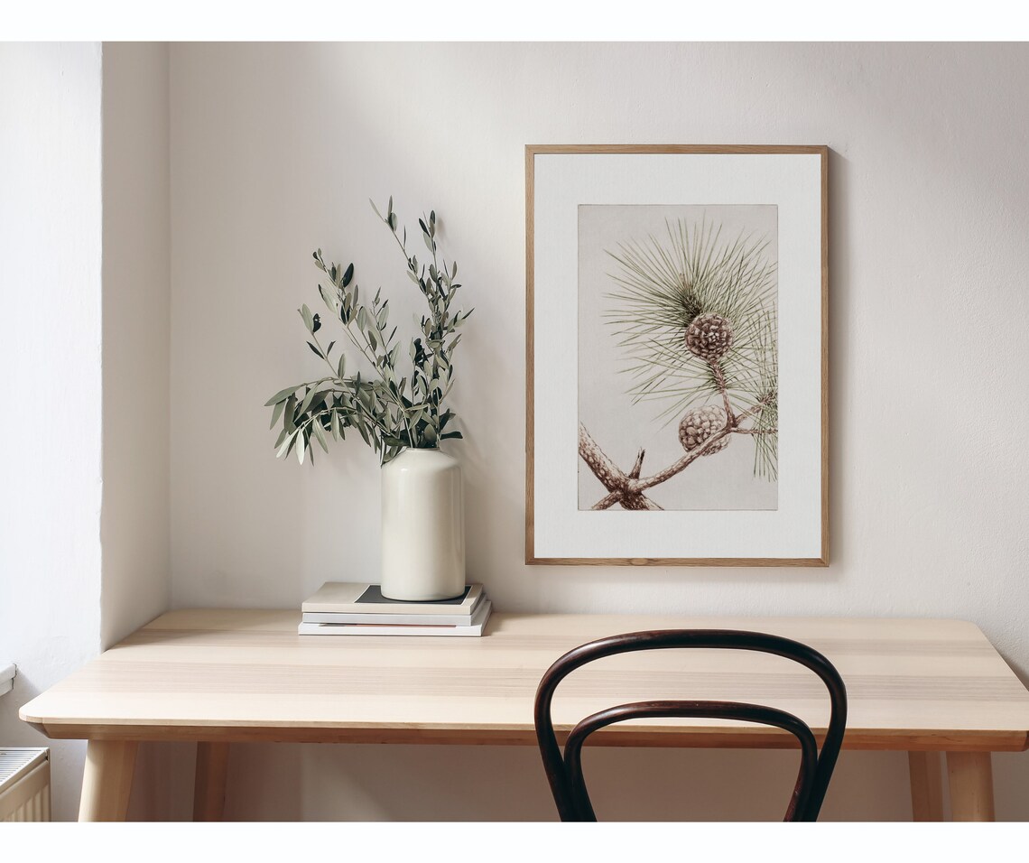 Matsu Pine Vintage Winter Botanical Art Print - Image 4
