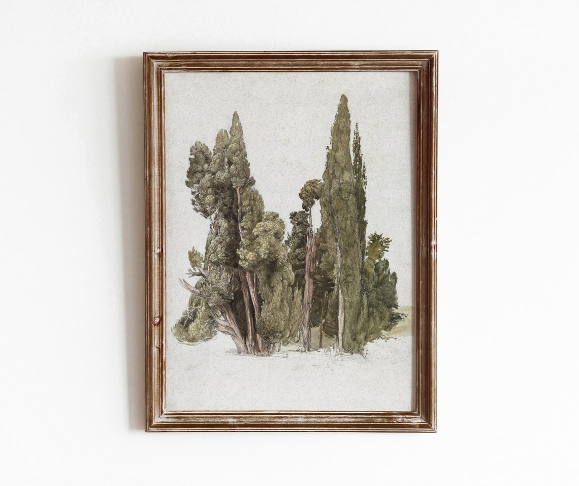 Tall Cypress Trees Muted Green Botanical Study Minimal Nature Wall Art