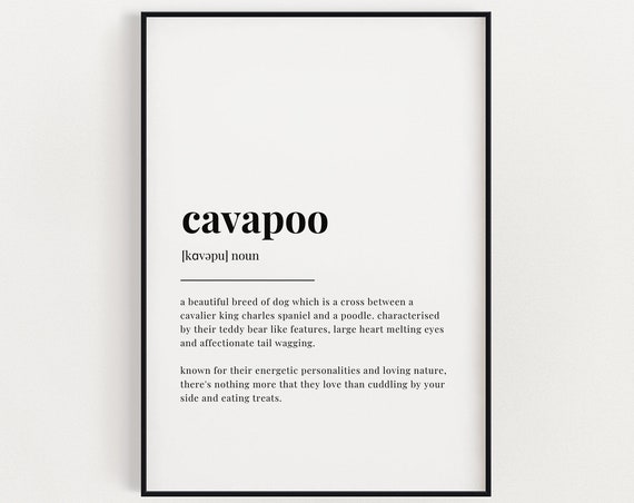 Cavapoo Definition Meaning, Home Decor Art Print